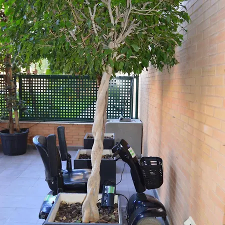 Albir & Sun * El Albir