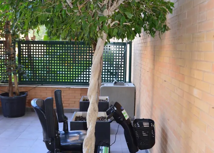 Albir & Sun * 알비르